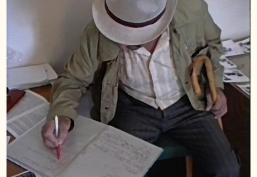 PDVD 081