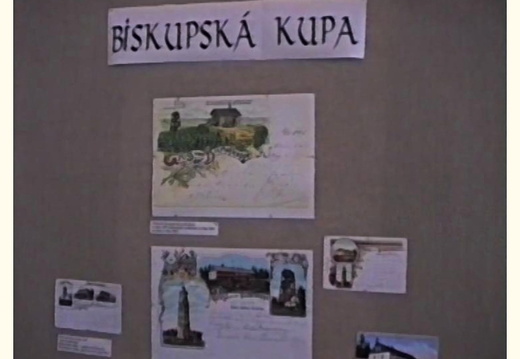 PDVD 079