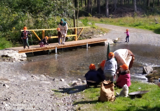 232 stanoviště 2 - Rýžoviště