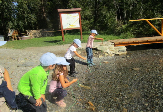 238 stanoviště 2 - Rýžoviště