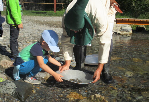 239 stanoviště 2 - Rýžoviště