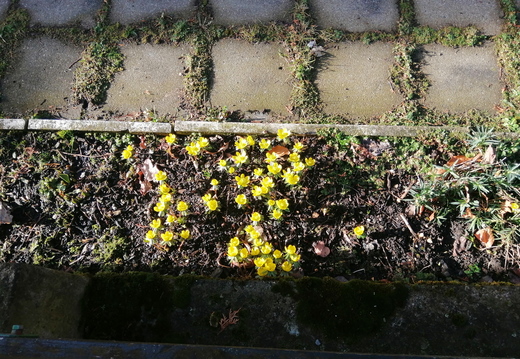 150 V tomto roce jsme zažili zatím nejteplejší masopustní počasí