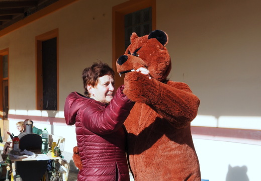 509 Medvěd Olaf se nezastavil ani na chvíli