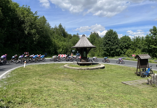 41 Hlavní peloton